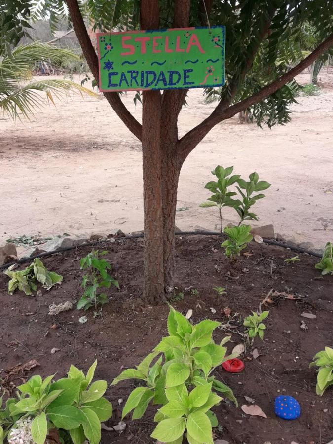 Chale Com Vista Privilegiada Piloes Bagian luar foto